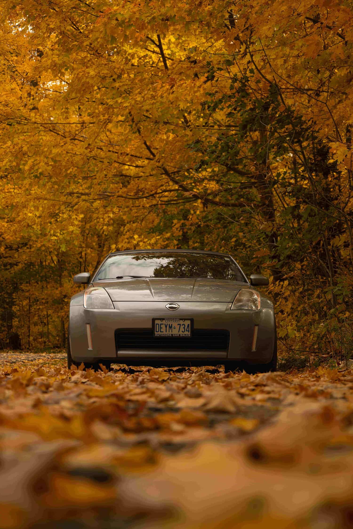 Car photo 1
